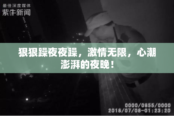 狠狠躁夜夜躁，激情无限，心潮澎湃的夜晚！