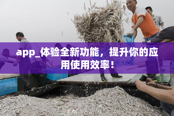 app_体验全新功能，提升你的应用使用效率！