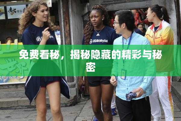 免费看秘，揭秘隐藏的精彩与秘密