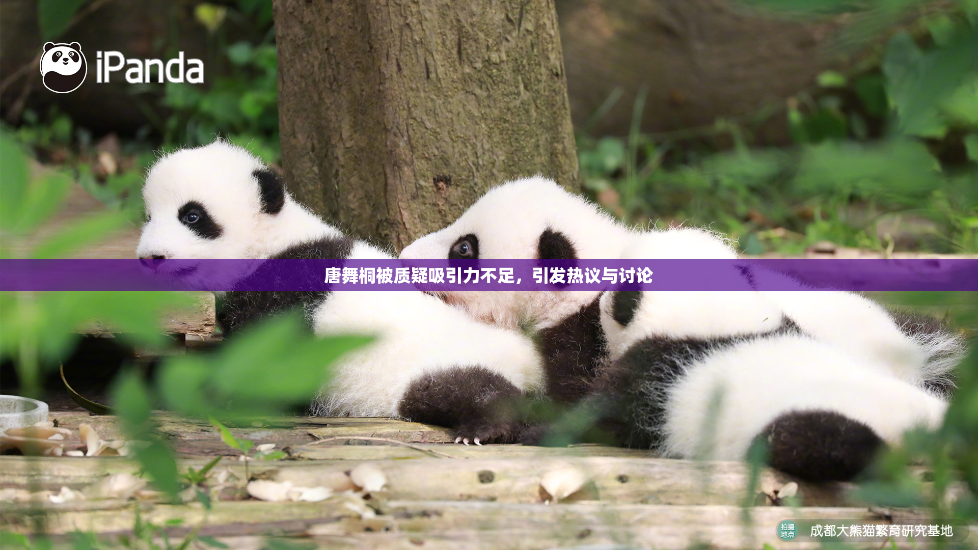 唐舞桐被质疑吸引力不足，引发热议与讨论