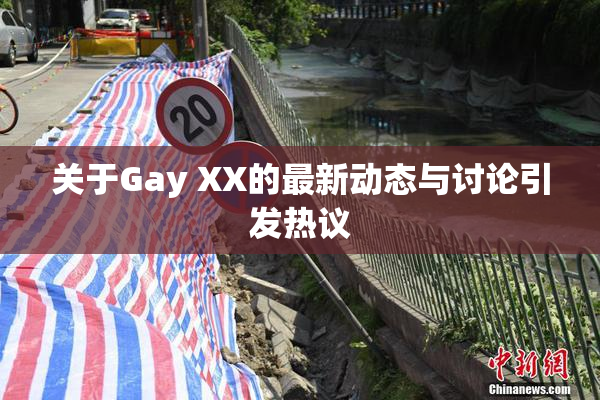 关于Gay XX的最新动态与讨论引发热议