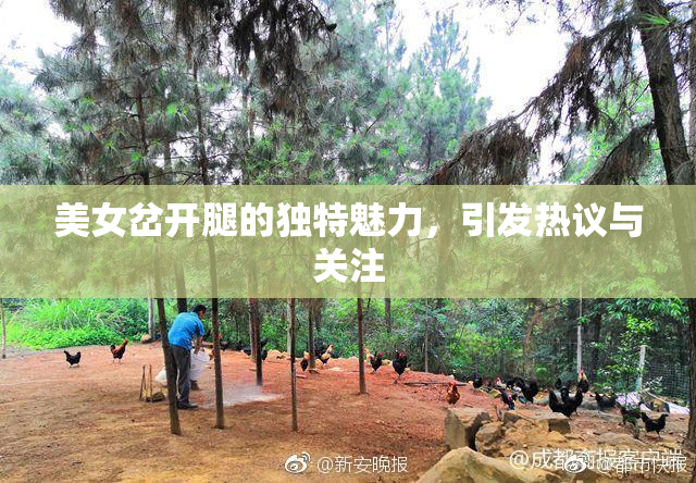 美女岔开腿的独特魅力，引发热议与关注