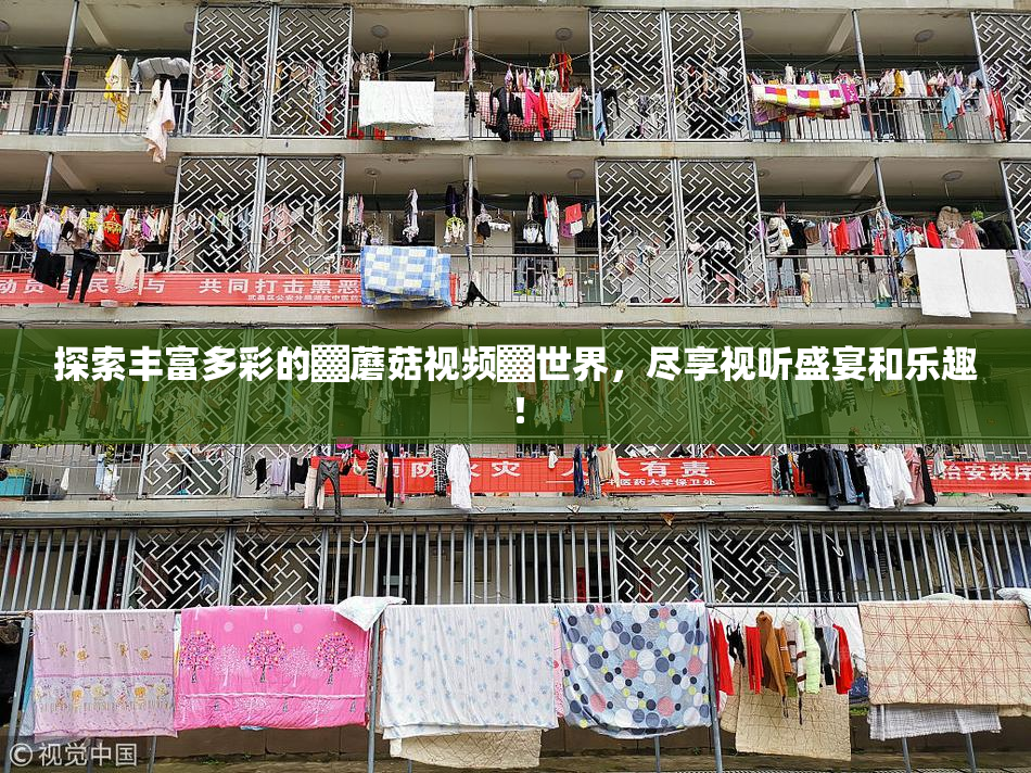 探索丰富多彩的▓蘑菇视频▓世界，尽享视听盛宴和乐趣！