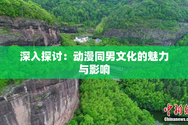 深入探讨：动漫同男文化的魅力与影响