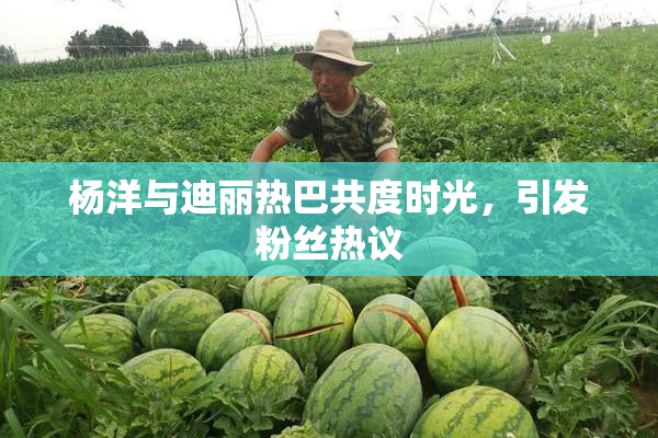 杨洋与迪丽热巴共度时光，引发粉丝热议