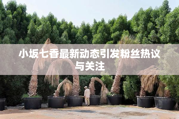 小坂七香最新动态引发粉丝热议与关注