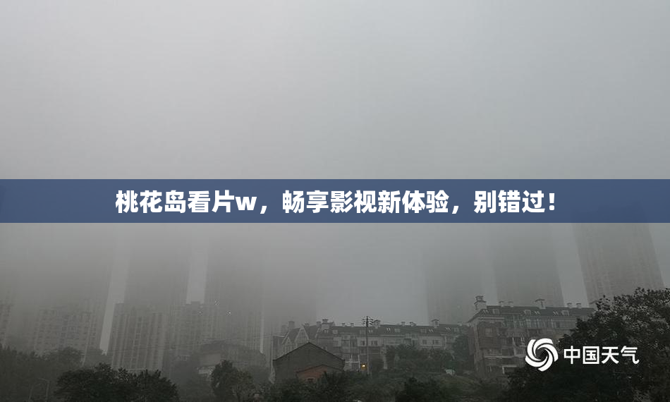 桃花岛看片w，畅享影视新体验，别错过！