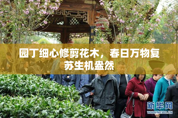 园丁细心修剪花木，春日万物复苏生机盎然