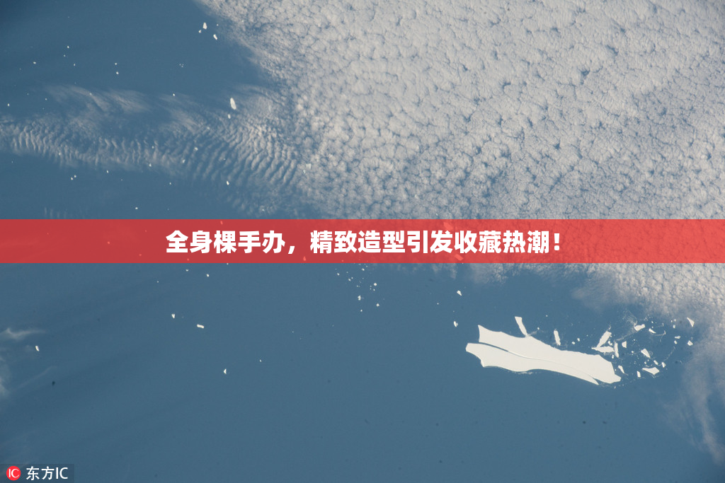 全身棵手办，精致造型引发收藏热潮！