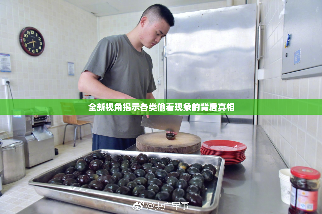 全新视角揭示各类偷看现象的背后真相
