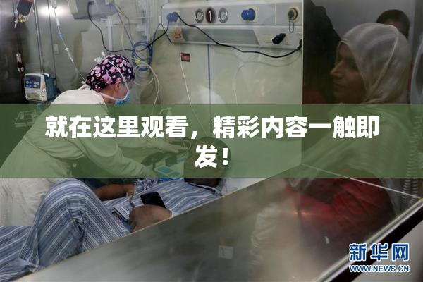 就在这里观看，精彩内容一触即发！