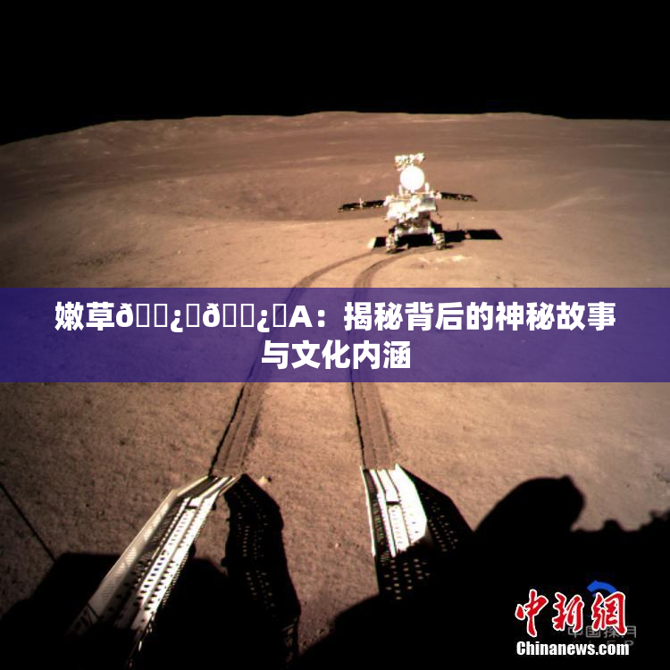 嫩草🌿‌🌿‌A：揭秘背后的神秘故事与文化内涵