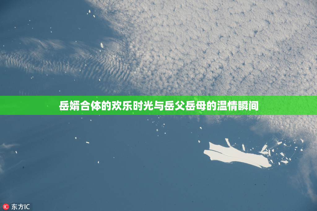 岳婿合体的欢乐时光与岳父岳母的温情瞬间