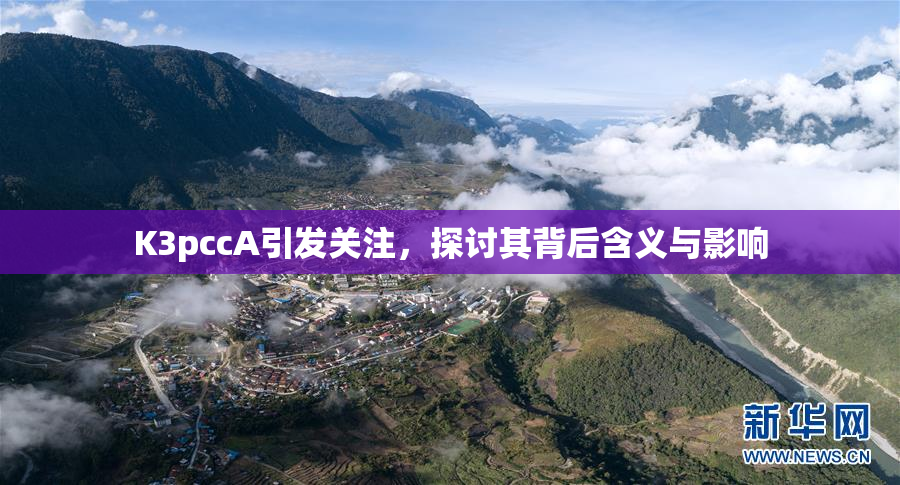 K3pccA引发关注，探讨其背后含义与影响