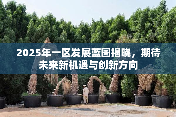 2025年一区发展蓝图揭晓，期待未来新机遇与创新方向