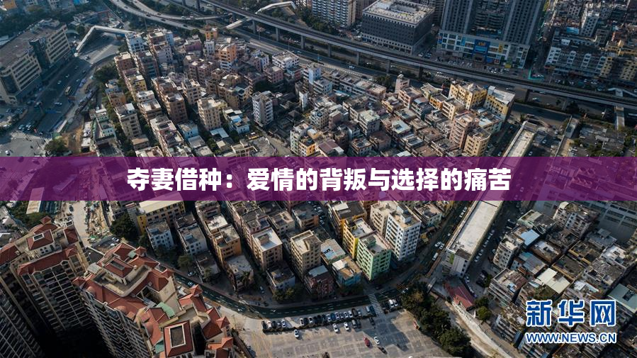 夺妻借种：爱情的背叛与选择的痛苦
