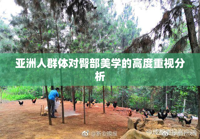亚洲人群体对臀部美学的高度重视分析