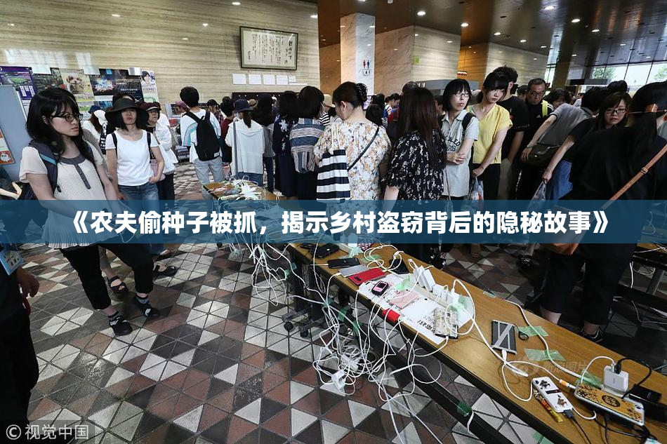 《农夫偷种子被抓，揭示乡村盗窃背后的隐秘故事》