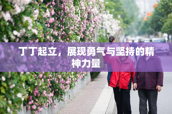 丁丁起立，展现勇气与坚持的精神力量