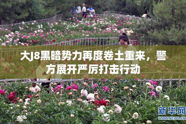 大J8黑暗势力再度卷土重来，警方展开严厉打击行动