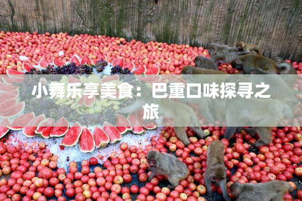 小舞乐享美食：巴重口味探寻之旅