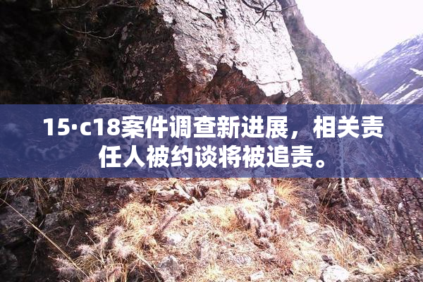 15·c18案件调查新进展，相关责任人被约谈将被追责。