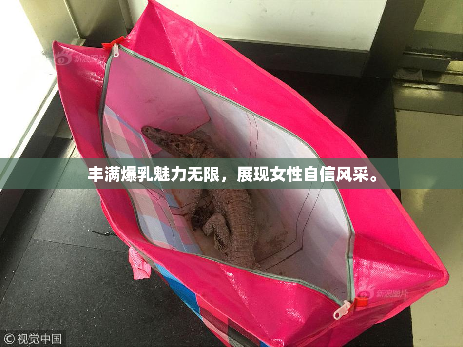 丰满爆乳魅力无限，展现女性自信风采。