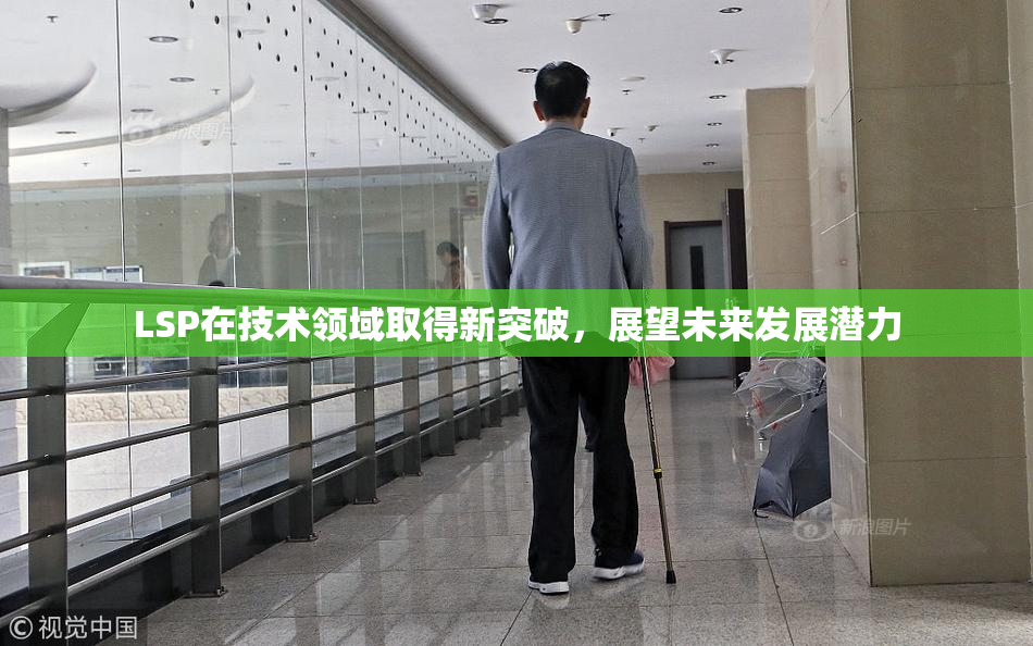 LSP在技术领域取得新突破，展望未来发展潜力