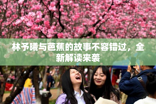 林予曦与芭蕉的故事不容错过，全新解读来袭