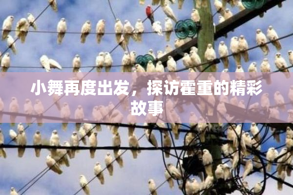 小舞再度出发，探访霍重的精彩故事