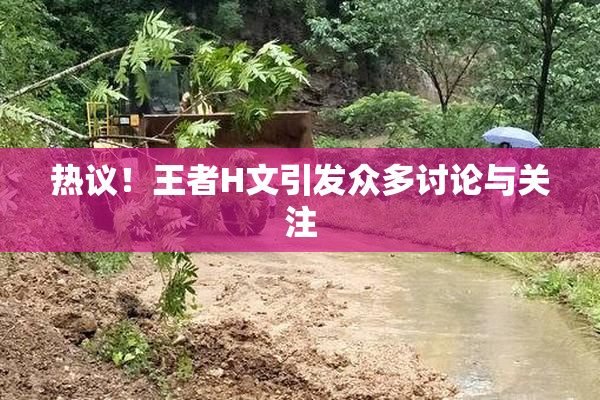 热议！王者H文引发众多讨论与关注