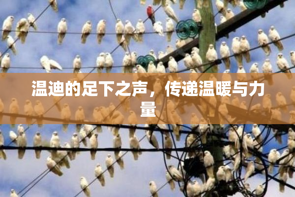 温迪的足下之声，传递温暖与力量