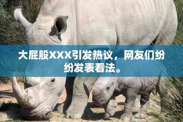 大屁股XXX引发热议，网友们纷纷发表看法。