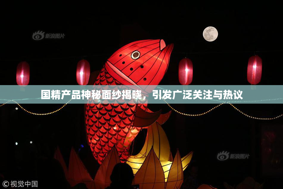 国精产品神秘面纱揭晓，引发广泛关注与热议