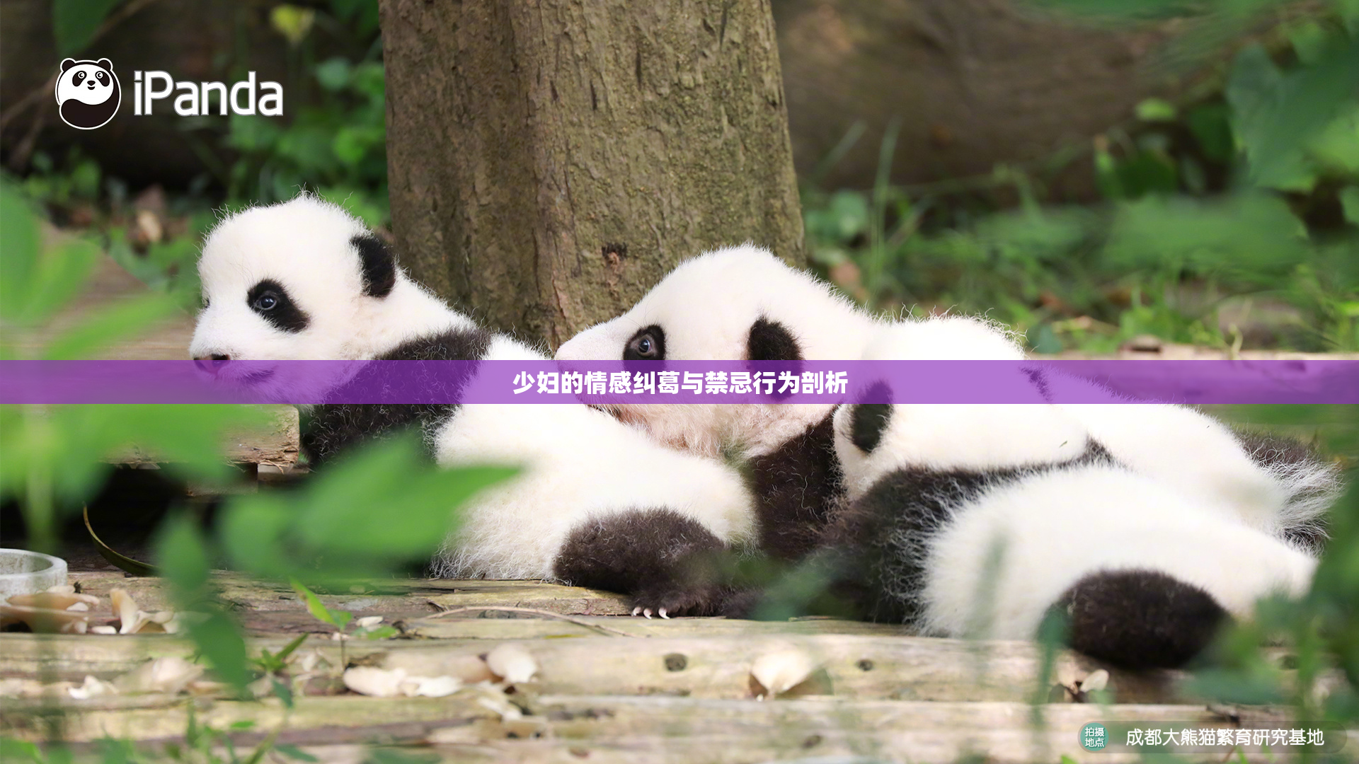 少妇的情感纠葛与禁忌行为剖析