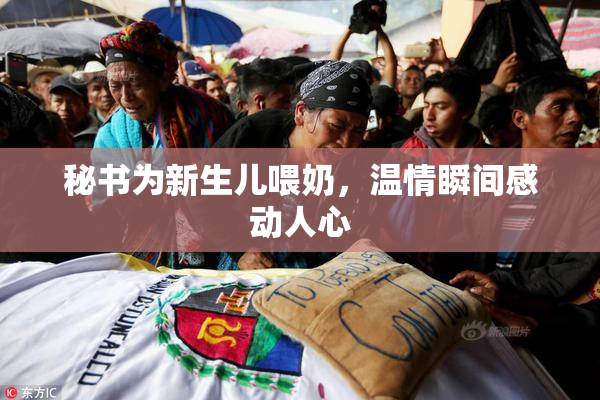 秘书为新生儿喂奶，温情瞬间感动人心