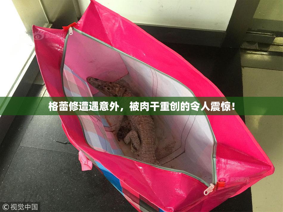 格蕾修遭遇意外，被肉干重创的令人震惊！