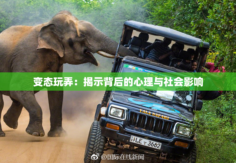 变态玩弄：揭示背后的心理与社会影响