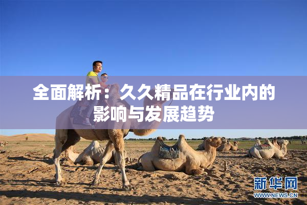 全面解析：久久精品在行业内的影响与发展趋势