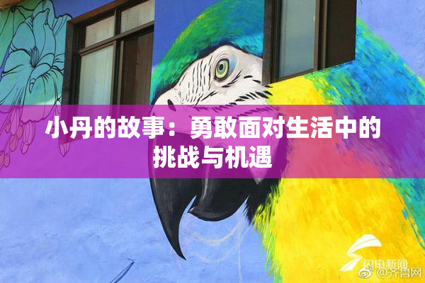 小丹的故事：勇敢面对生活中的挑战与机遇