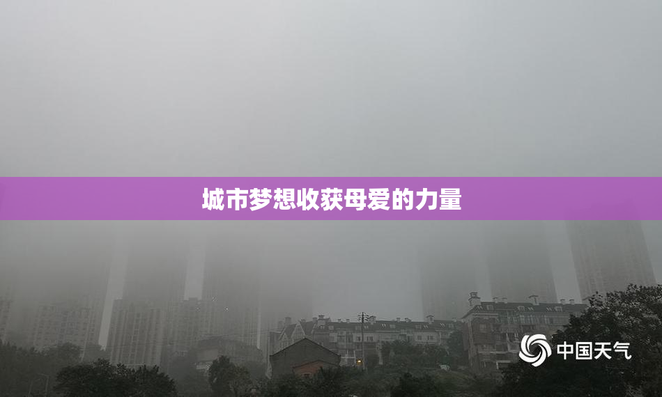 城市梦想收获母爱的力量