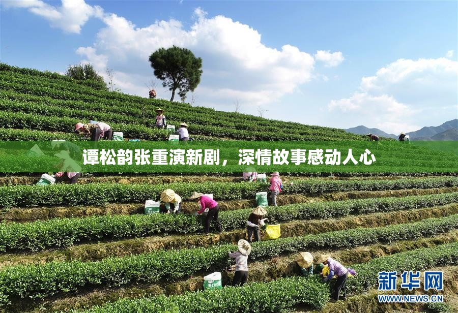 谭松韵张重演新剧，深情故事感动人心