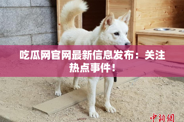 吃瓜网官网最新信息发布：关注热点事件！