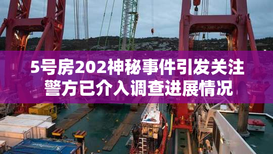 5号房202神秘事件引发关注 警方已介入调查进展情况