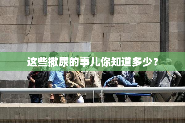 这些撒尿的事儿你知道多少？