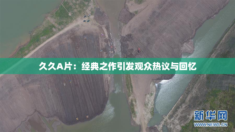 久久A片：经典之作引发观众热议与回忆
