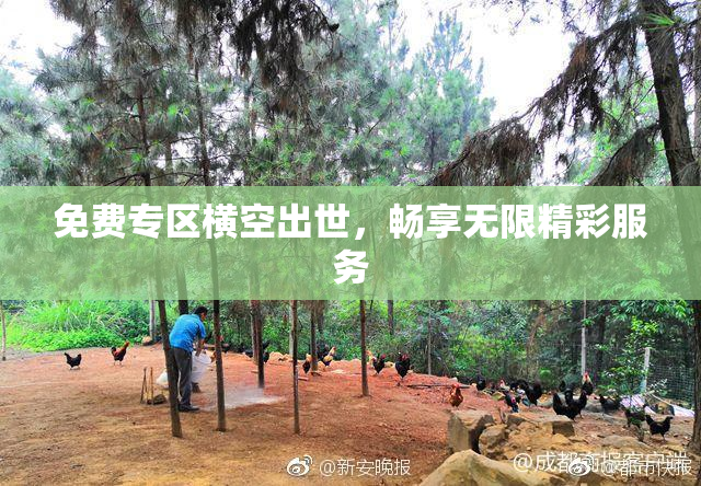 免费专区横空出世，畅享无限精彩服务