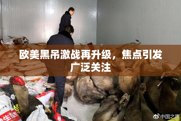 欧美黑吊激战再升级，焦点引发广泛关注