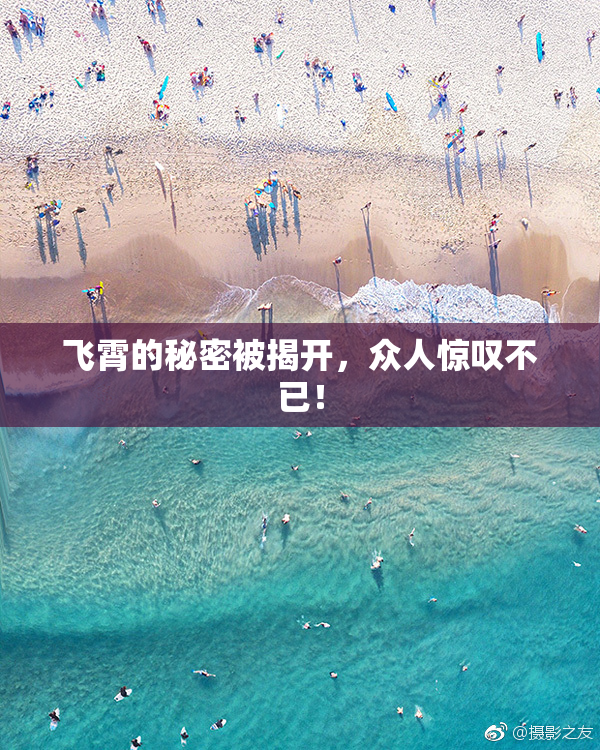 飞霄的秘密被揭开，众人惊叹不已！