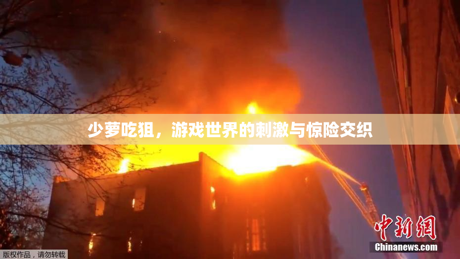 少萝吃狙，游戏世界的刺激与惊险交织